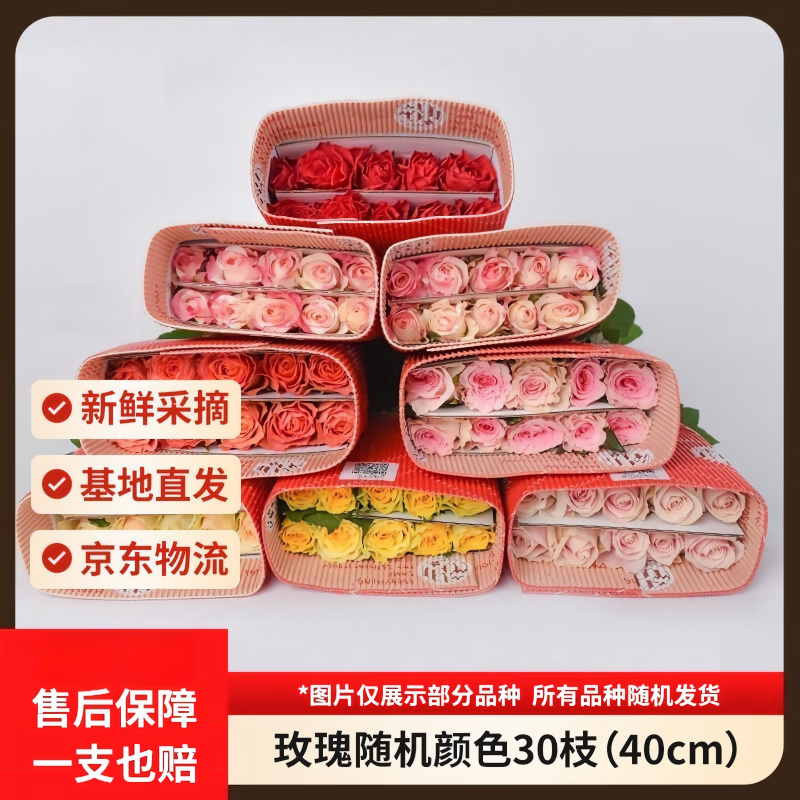 京东鲜花玫瑰花随机颜色30枝(2-3种颜色)40cm鲜切花生活花束山东源头直发