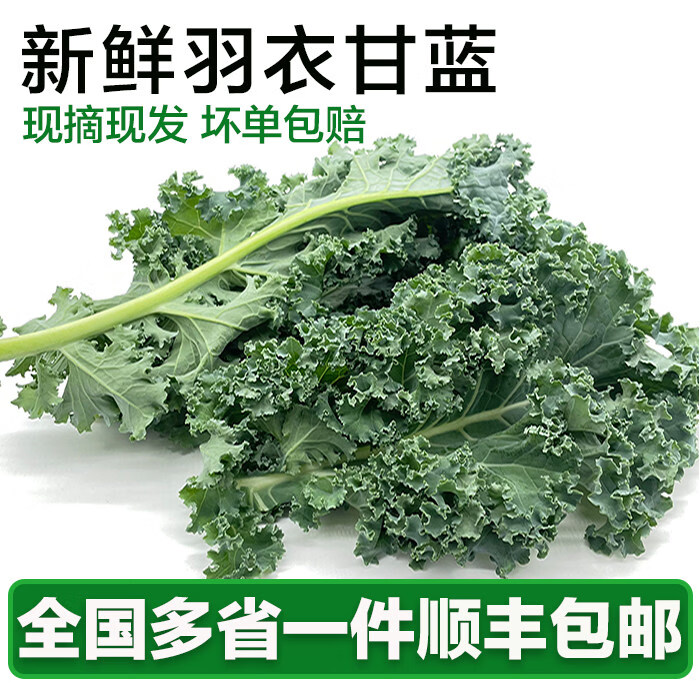羽衣甘蓝新鲜嫩叶【】2斤轻食沙拉西餐榨汁基地直发 2500g 京东折扣/优惠券