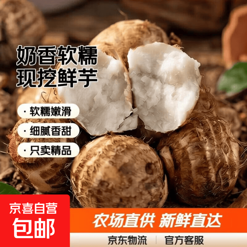 山东正宗牛奶小芋头新鲜农家自种软糯香芋毛芋头当天现挖产地直发 带箱5斤