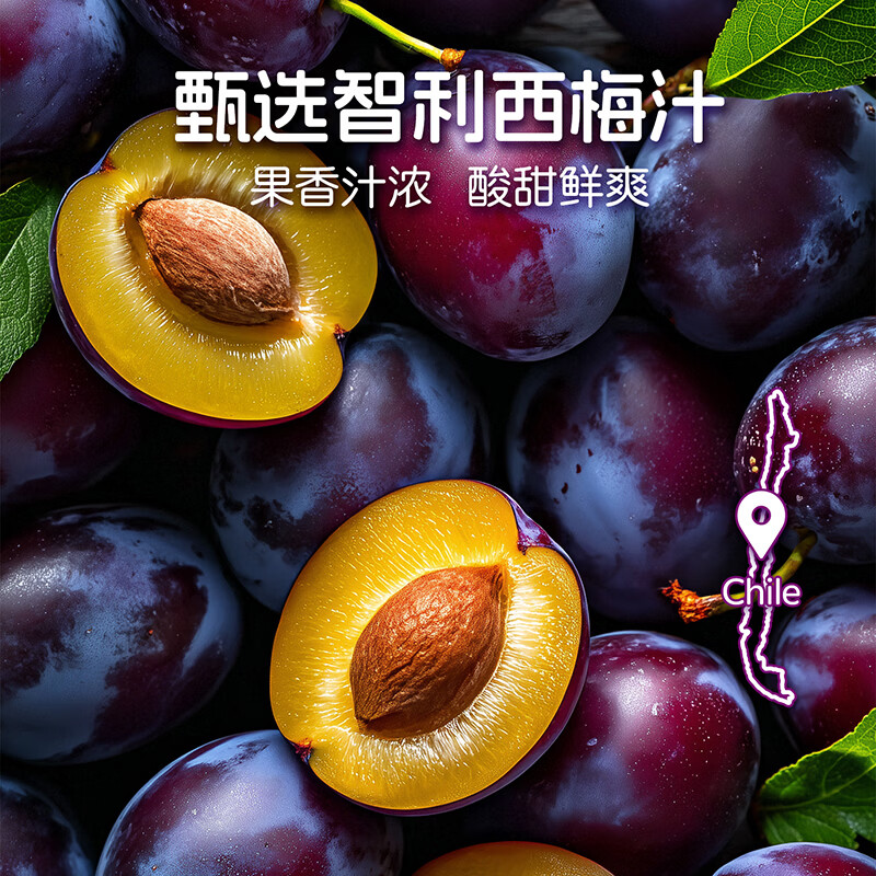 生和堂益生元西梅汁 多种益生元膳食纤维0脂果饮品 10袋益生元西梅汁