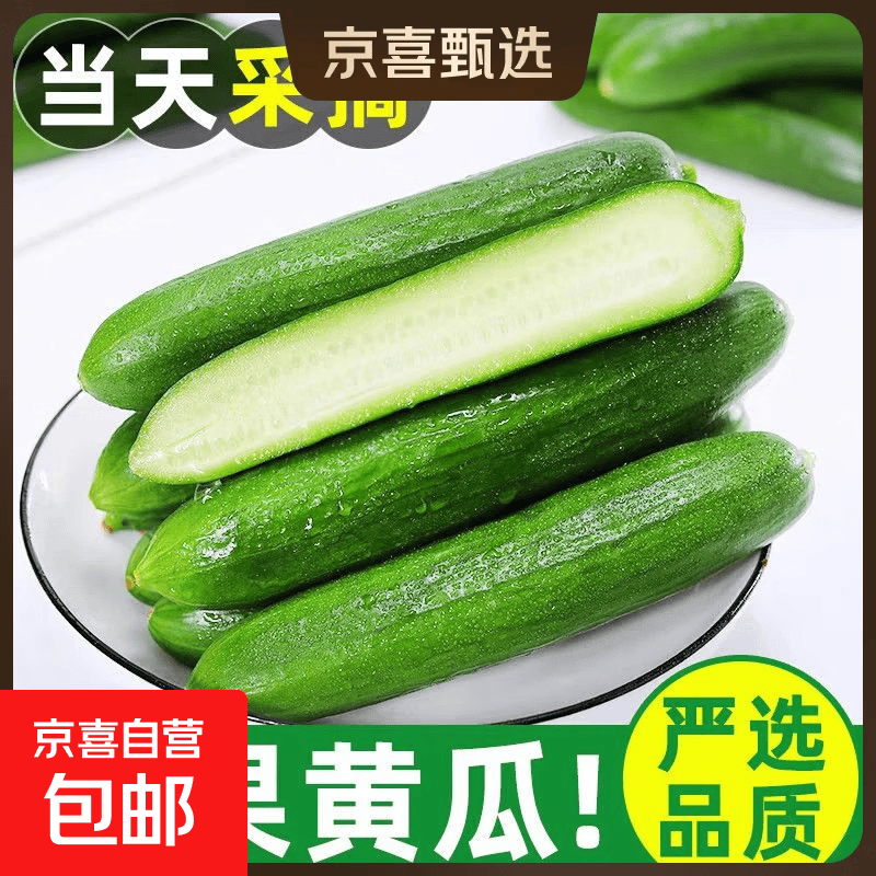 寿光水果小黄瓜新鲜脆爽脆 当季直发 仅12.9元/4.5斤 寿光水果小黄瓜新鲜脆爽脆 当季直发 仅12.9元/4.5斤