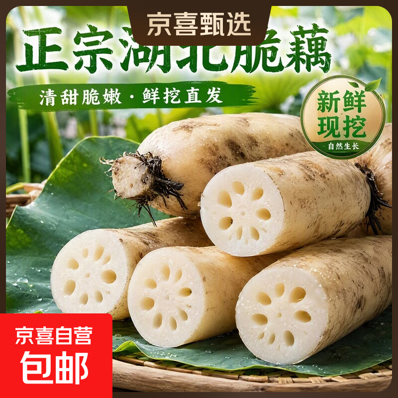 湖北新鲜莲藕新花藕现挖嫩农家菜超市食用脆藕清甜可口夏季凉拌菜 湖北脆藕5斤净重（洗净真空装）
