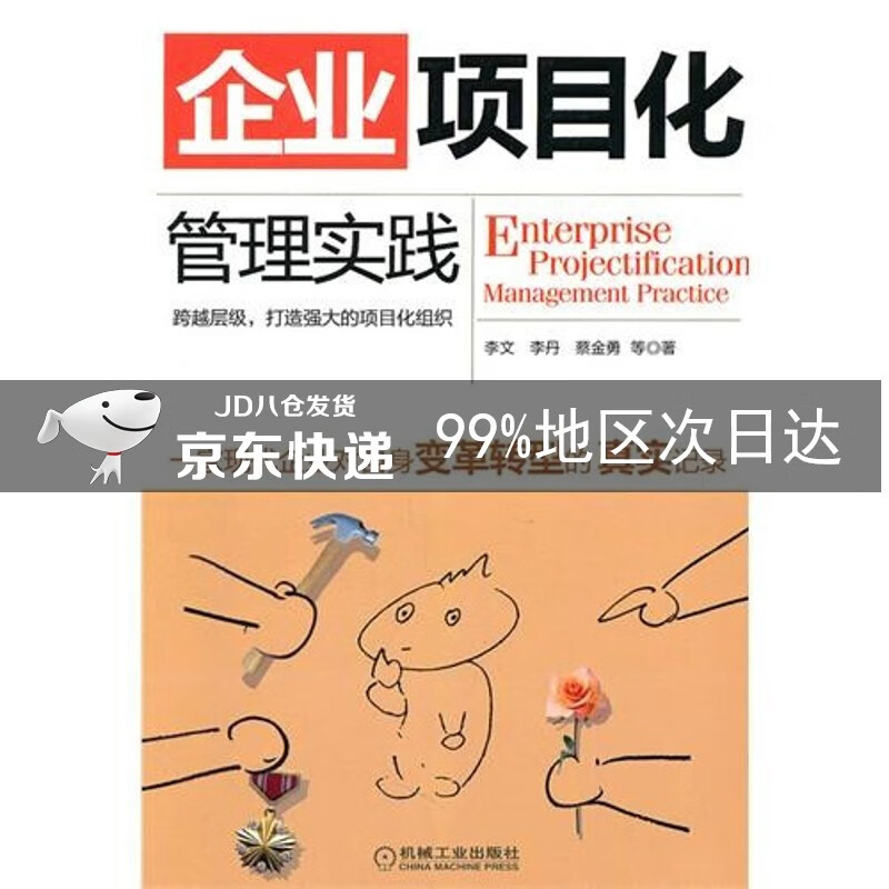 企业项目化管理实践