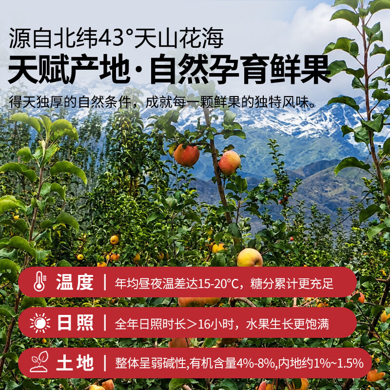 疆农纪100%NFC300ml全口味尝鲜限购精致 100%NFC尝鲜款