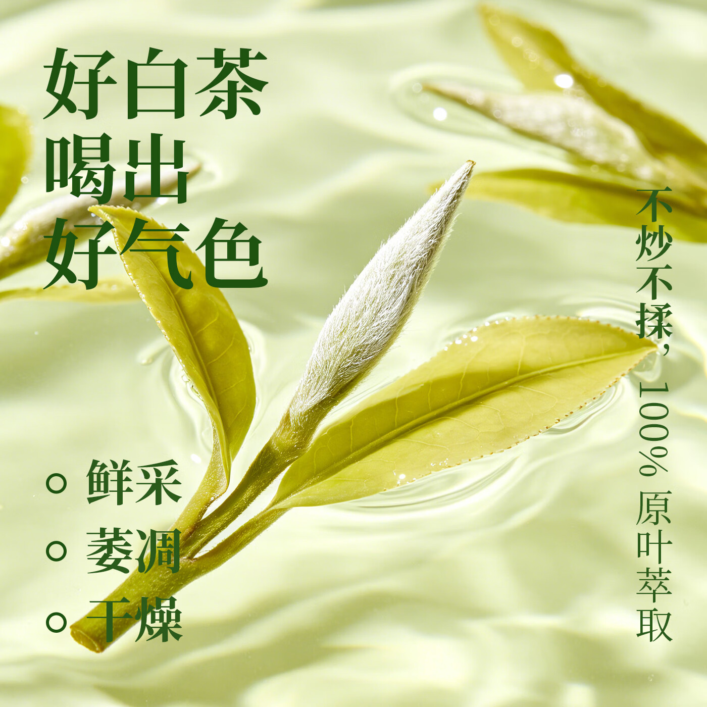 那川高山茉莉玫瑰白茶乌龙青柑普洱无糖茶 纯茶解渴饮料500*15瓶整箱 多口味 高山3+茉莉3+栀子3+金桂2+玫瑰2+陈皮2