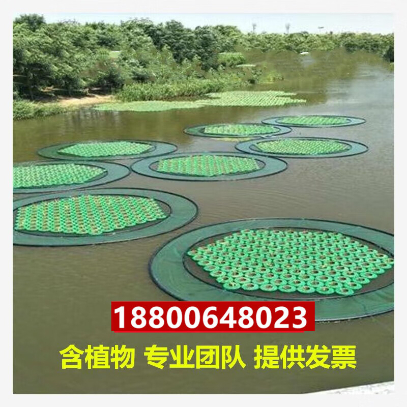 水上种植人工生态浮床浮岛水生植物绿化造景河道水 浮岛一平方含植物