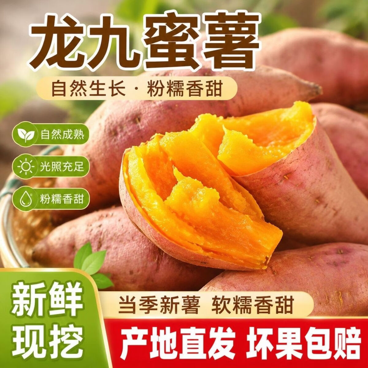 现挖西瓜红蜜薯 沙地蜜薯软糯香甜无丝无筋 新鲜黄心地瓜 沙地蜜薯中大果(3-8两)含箱5斤