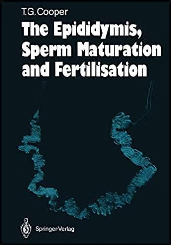 预订 the epididymis, sperm maturation and fertilisation