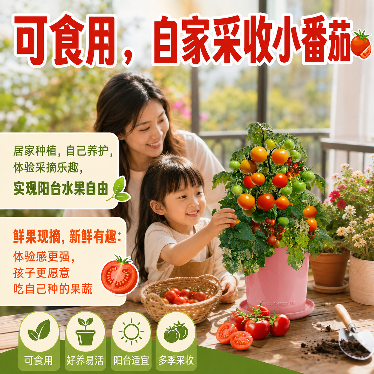 IAM City Farmer果蔬种植套装 DIY种植趣味盆栽 阳台种植可食用果蔬种子 好种易活 矮生小番茄套装 含盆含土含种子