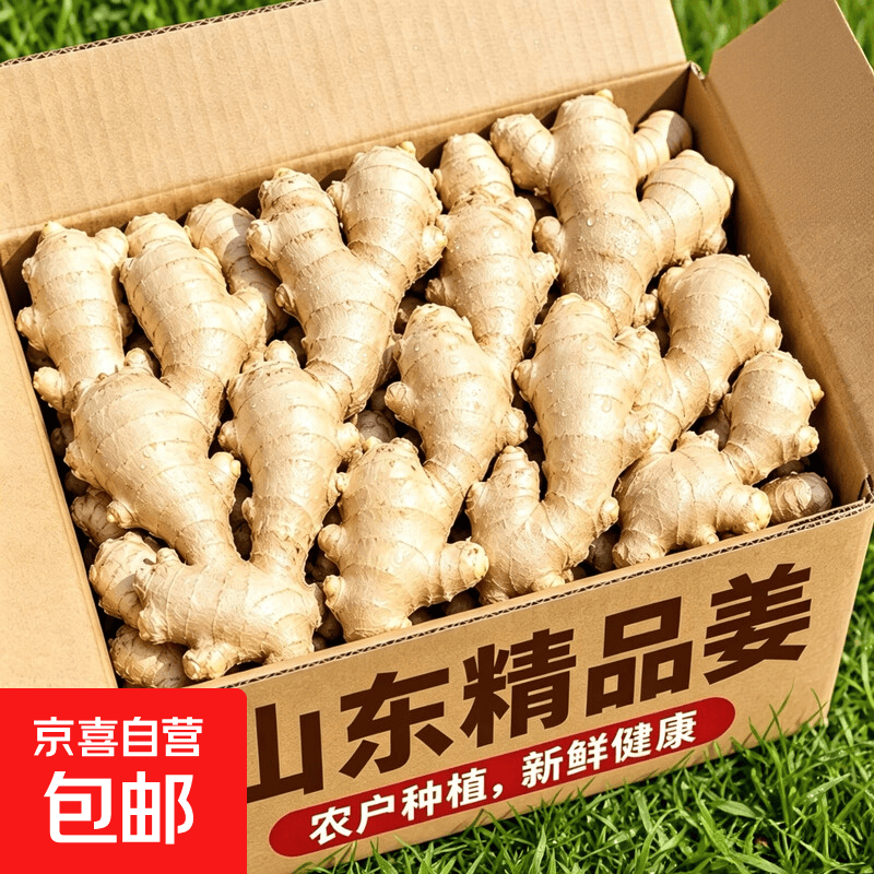 【精品】山东大黄姜水洗不带土净姜山东大姜生姜干姜新鲜蔬菜佐料 净重5斤