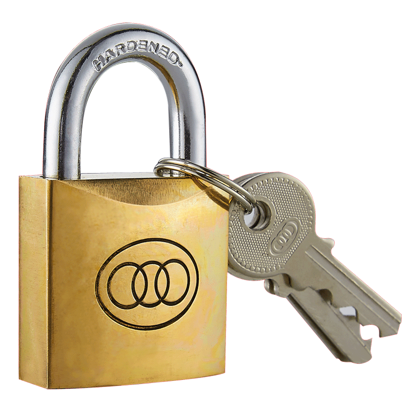 锁环十大品牌排行榜