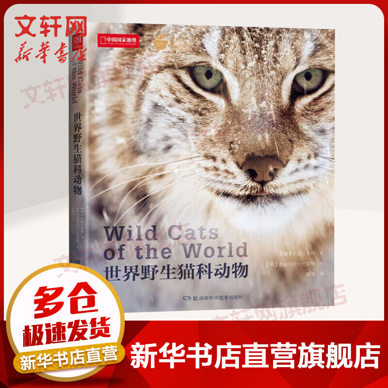 世界野生猫科动物 中国国家地理猫盟百科全书野生猫科哺乳动物图鉴书籍神秘野生动物大猫咪图书集