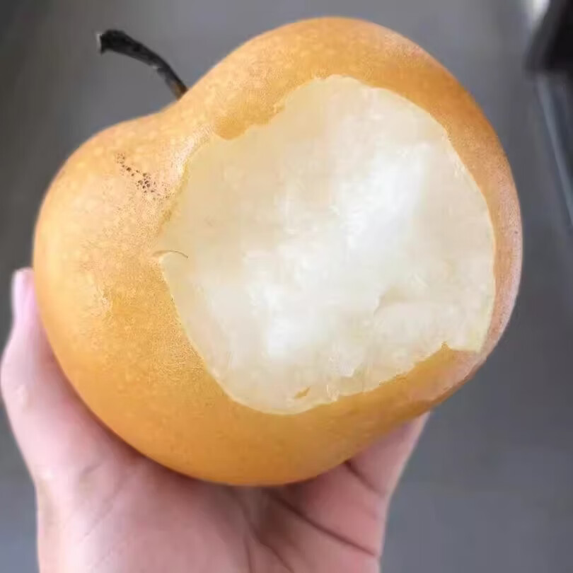 鲜宝道秋月梨应季水果脆甜梨当季雪梨 5斤秋月梨净重4.5斤单果200+