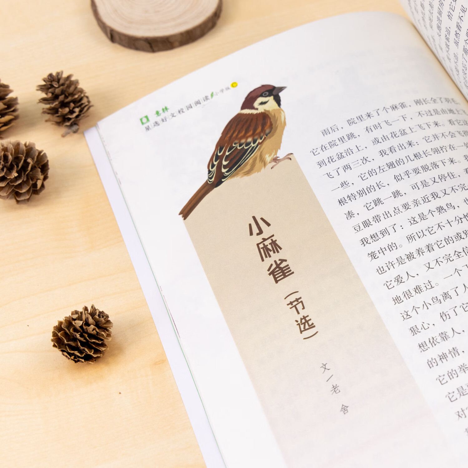 【现货速发】意林星选好文 18周年校园升级版—符合中小学阶段的阅读需求,记叙文、说明文、散文、漫画...文体涉及广泛,为中小学生打开阅读的多维度窗口,阅读写作能力 意林星选好文小学版AB(全二册)