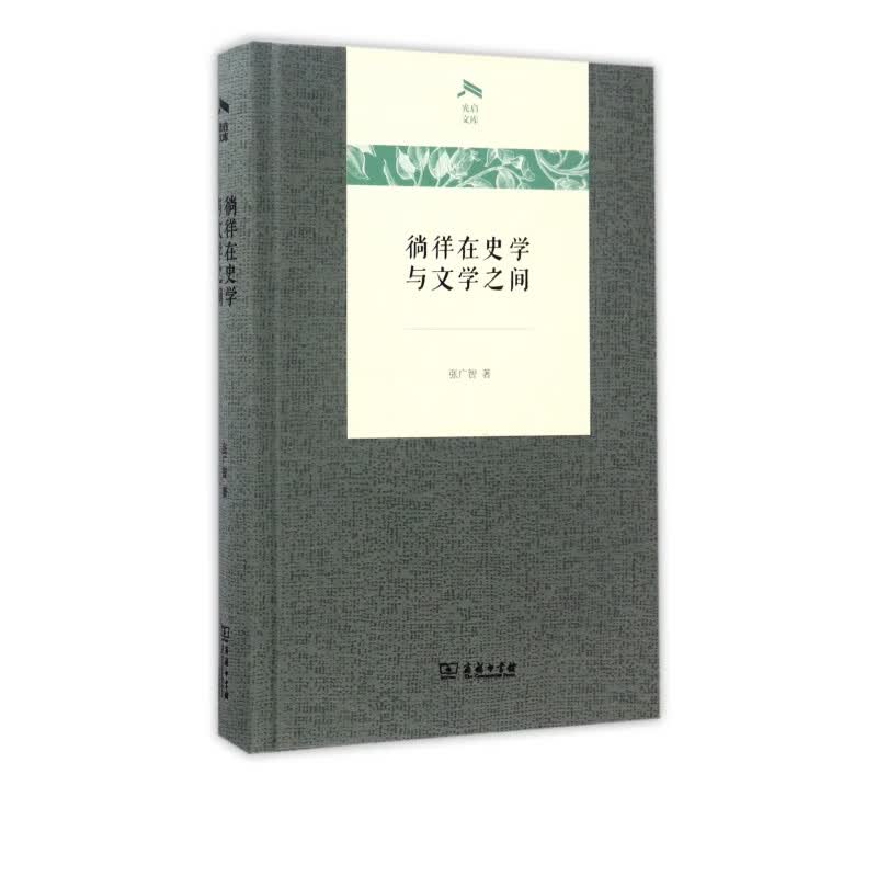 徜徉在史学与文学之间(精)/光启文库