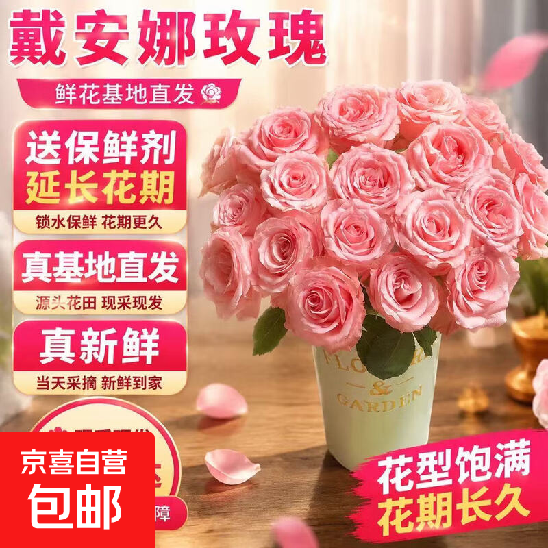 【专2】鲜花戴安娜粉色玫瑰送女友求婚花束家居软装装饰生活真花 戴安娜玫瑰9枝送1枝防损 枝长40-55cm【带网套发货防损】