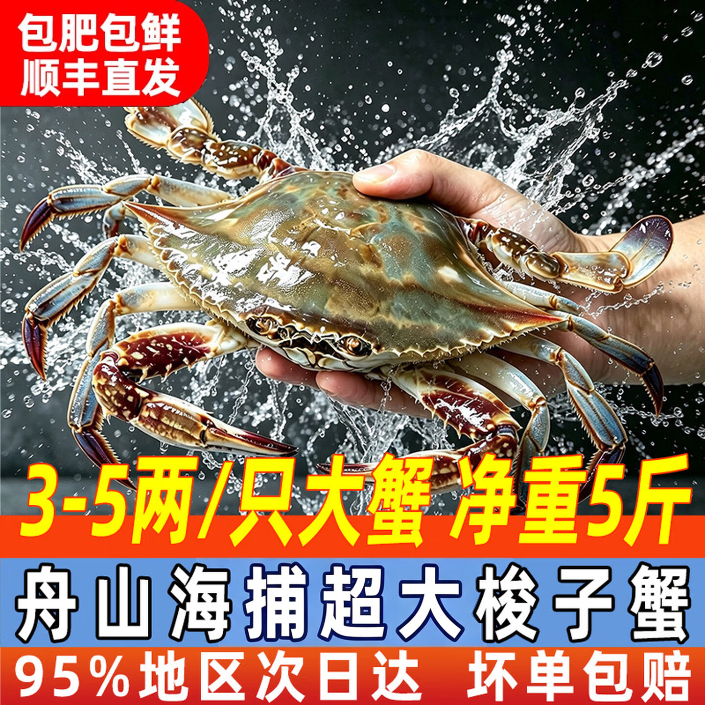 大海船说【冷冻】舟山超大梭子蟹鲜蟹活冻大螃蟹生鲜飞蟹大肉蟹 梭子蟹 3-5两/只【净重5斤】 京东折扣/优惠券