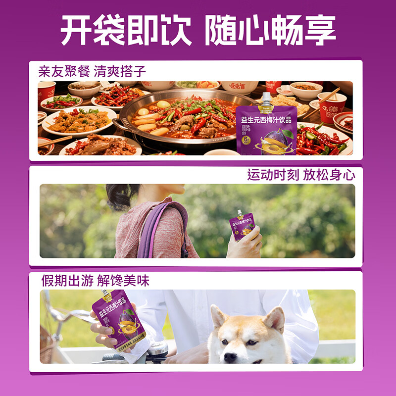 生和堂益生元西梅汁 多种益生元膳食纤维0脂果饮品 10袋益生元西梅汁