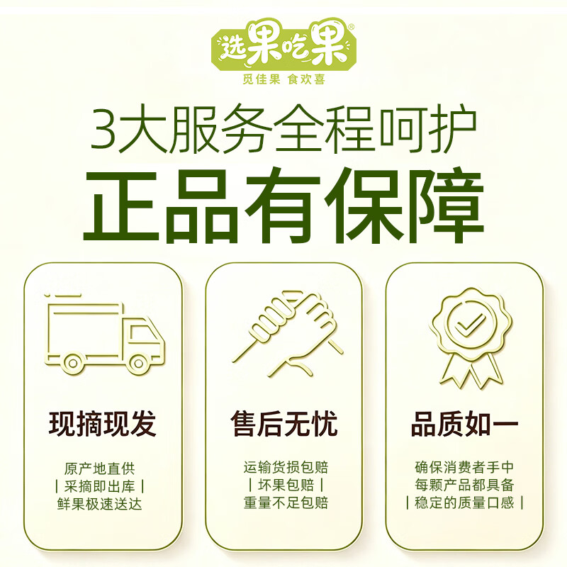 选果吃果柚子红心蜜甜柚正宗福建平和琯溪蜜柚新鲜当季水果礼盒中秋节送礼 两个装【单果1.7斤起】带箱4-4.5斤