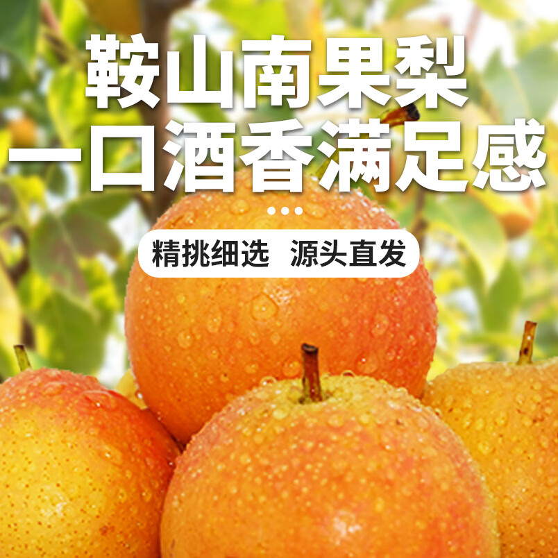 正宗南果梨 辽宁鞍山南国梨东北特产香水梨 京东快递源头直发 精品礼盒 红南果净果4.5斤(24枚) 京东折扣/优惠券