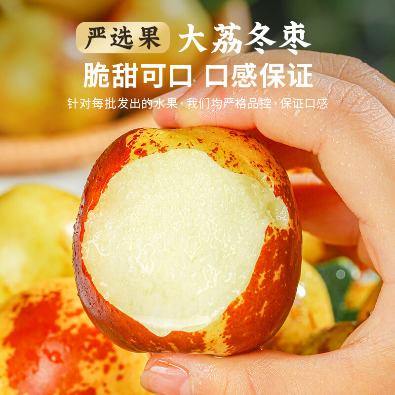 优味集正宗陕西大荔冬枣新鲜枣子应季水果脆甜鲜枣冰糖脆枣蜜枣大枣子 5斤装丨小果8g+丨净4.5-5斤