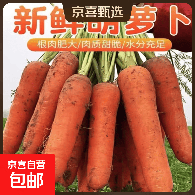 河南春季新鲜带泥胡萝卜脆爽多汁维生素胡萝卜素配菜水果新鲜蔬菜 带箱1斤