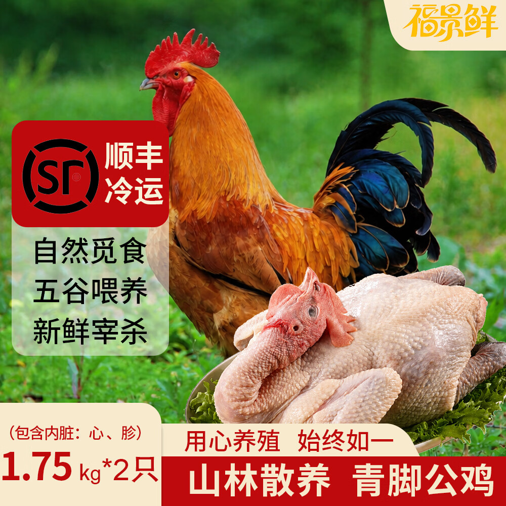 福景鲜青脚公鸡农家散养整只公鸡肉走地鸡 生鲜现杀土公鸡红烧鸡公 青脚公鸡3.5斤*2只【红烧超好吃】