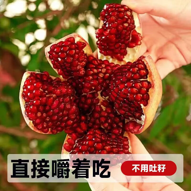 会理突尼斯软籽石榴 新鲜水果生鲜 极速达 中秋礼物 带箱5斤单果300g+