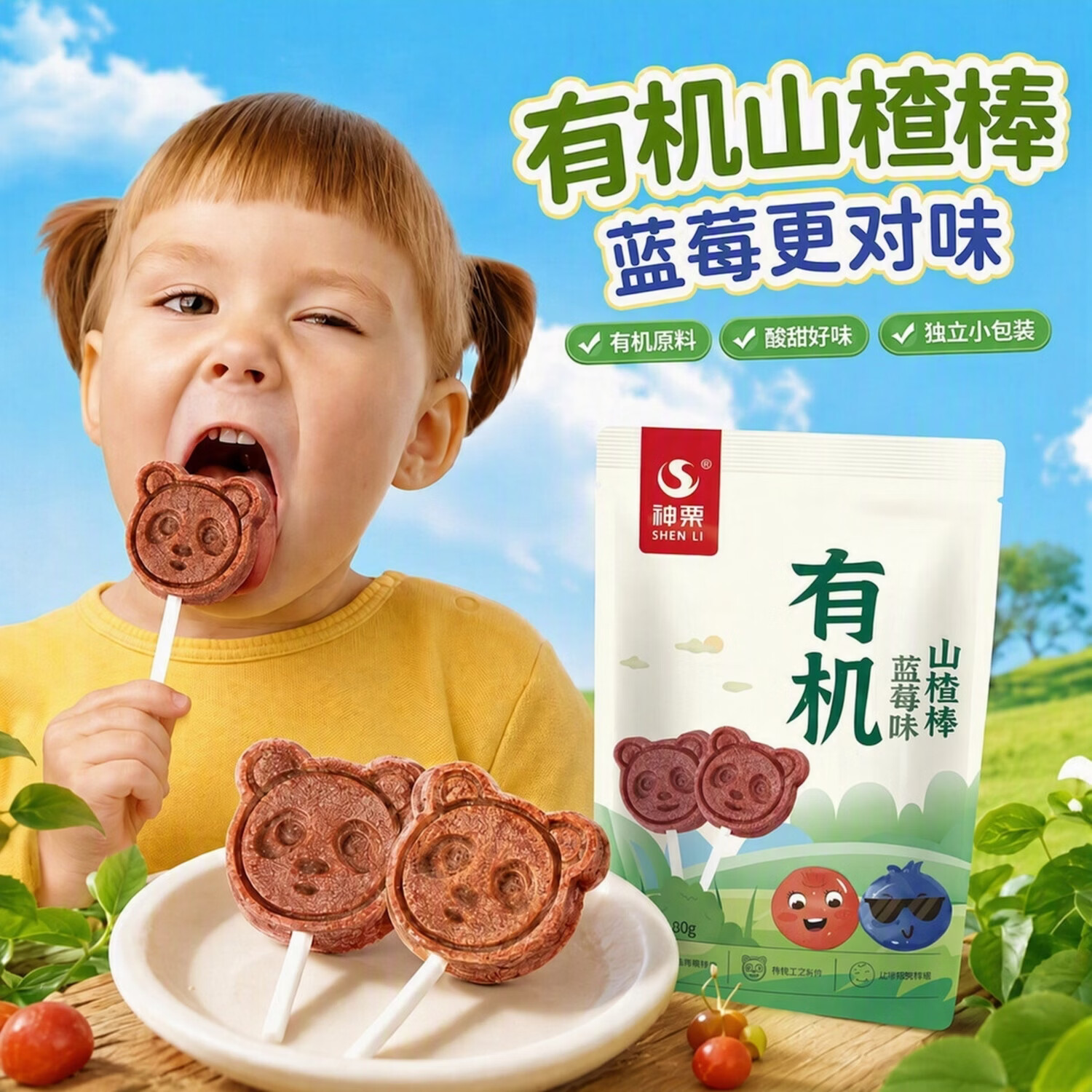 神栗有机山楂棒棒糖9支独立小包装原味无添加宝宝儿童零食90g/袋