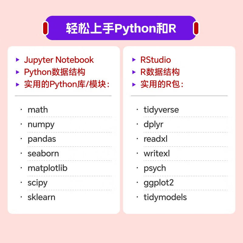 数据分析轻松进阶：从Excel到Python和R（图灵出品）