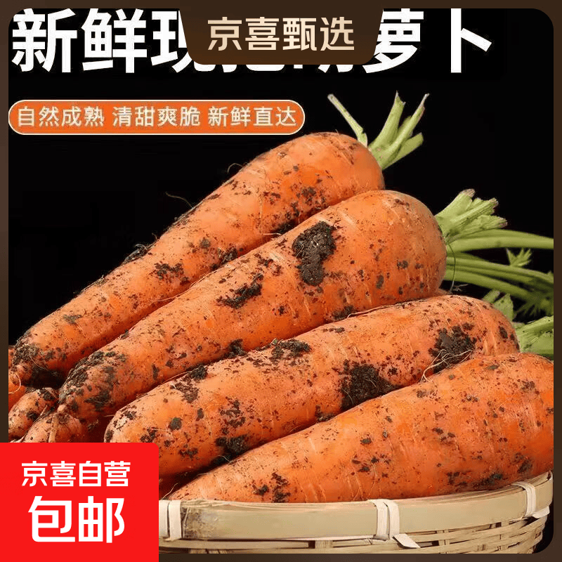 河南新鲜带泥胡萝卜农家水果萝卜应季早餐蔬菜红薯营养减脂食品 胡萝卜2斤带箱 200g+/支
