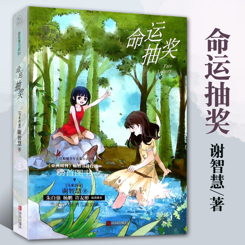 命运抽奖 谢智慧系列 红蜻蜓少年长篇小说书系 小学生课外阅读书籍 儿童文学 书 儿童书籍 课外书 7
