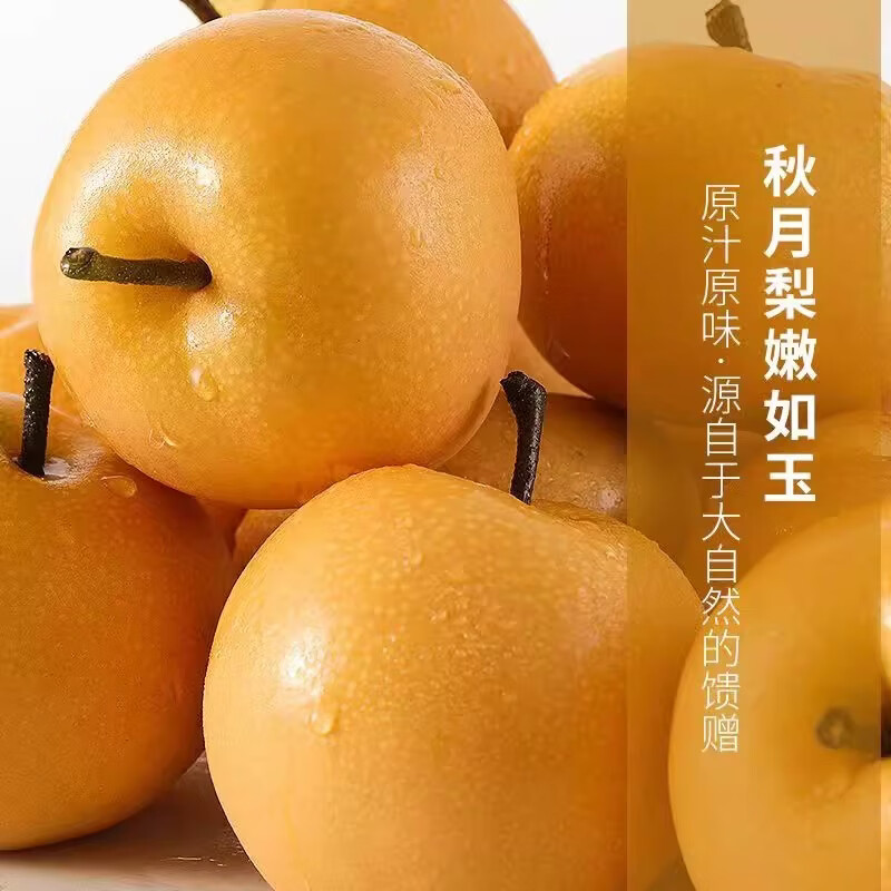 鲜宝道秋月梨应季水果脆甜梨当季雪梨 5斤秋月梨净重4.5斤单果200+ 京东折扣/优惠券