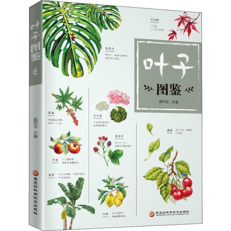 叶子图鉴