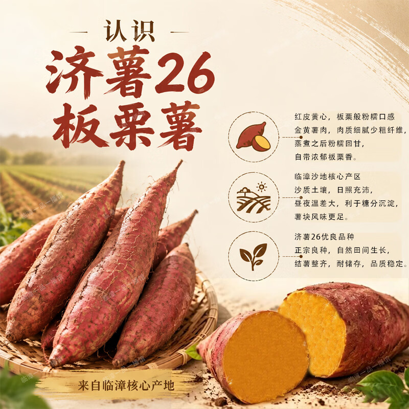 享农伯漳河沙地济薯26板栗薯 板栗口感新鲜现挖产地直供代餐健康粗粮 沙地济薯26 【带箱】大果5斤