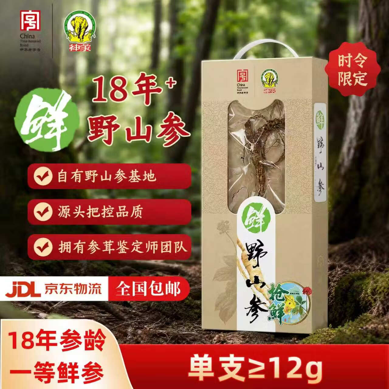 神象【限定】新鲜12g鲜野山参18年以上参龄时令鲜人参皂苷中秋送礼 时令鲜参12克以上（限时销售）