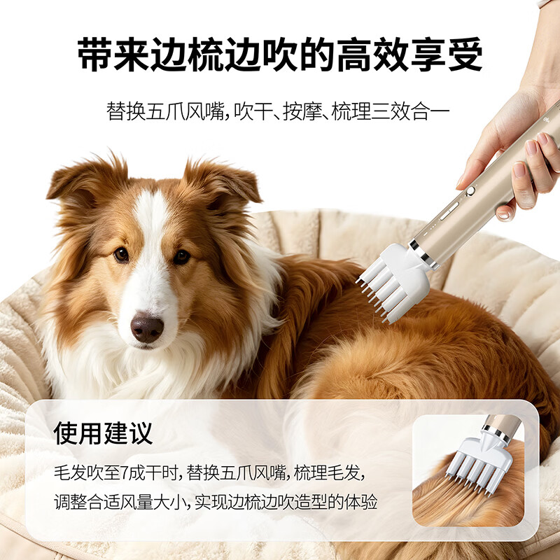 vgo吹风机吹水大功率轻音高速静音狗狗猫咪洗澡专用烘干吹毛神器宠 物家用 柔光金