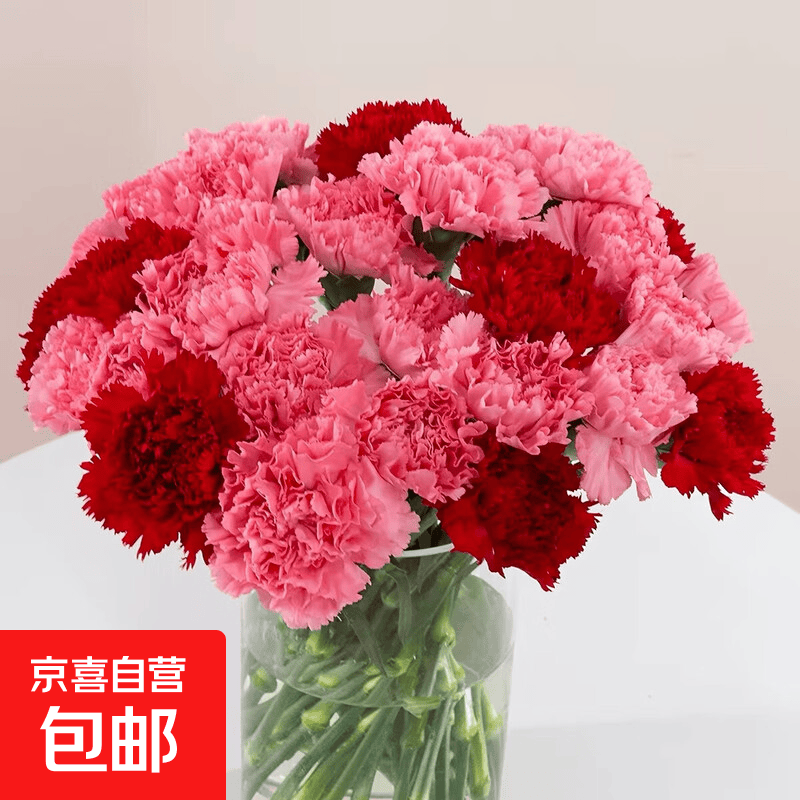康乃馨鲜花10支 1.3元 - 86线报