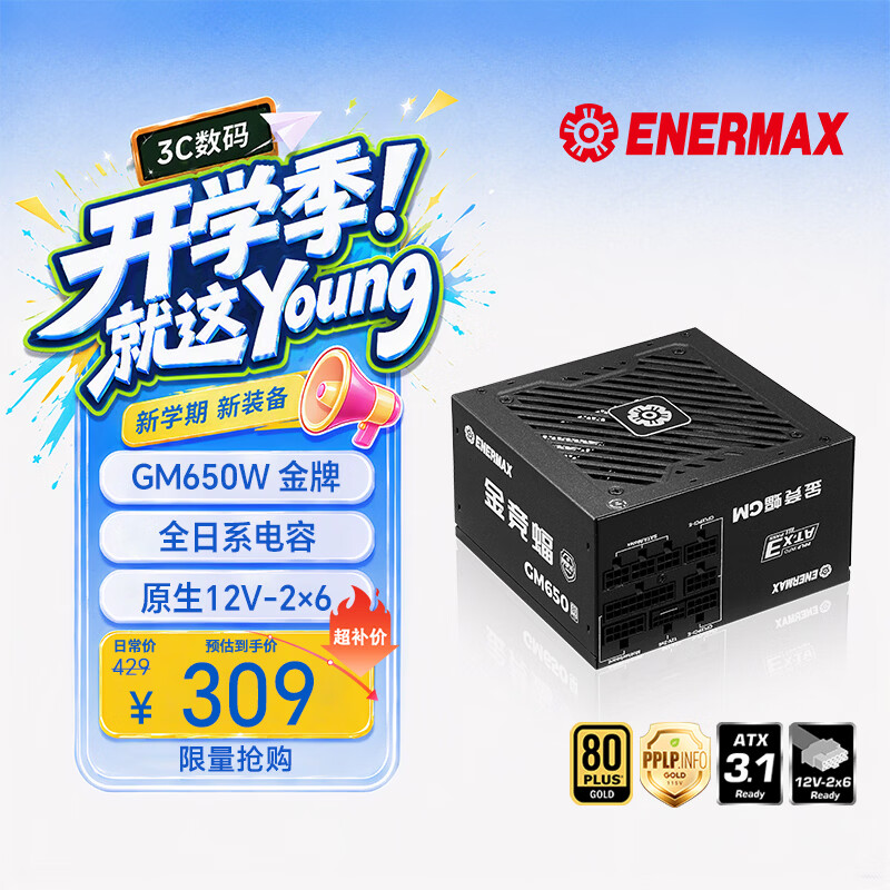 安耐美（Enermax）电源650W 金竞蝠GM650W黑色 ATX3.1电源 金牌全模 全日系电容/FDB风扇/五年保固