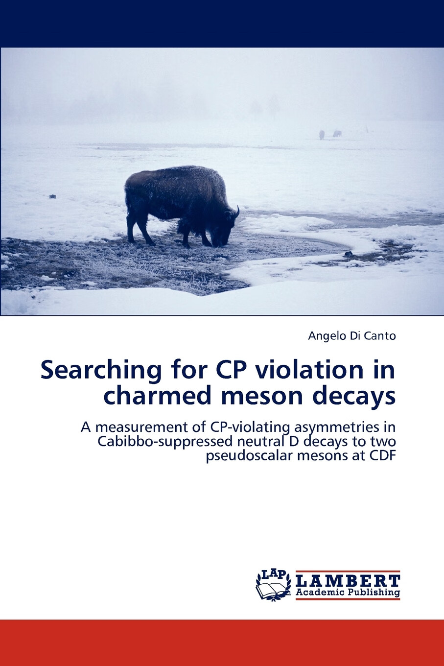 【预售 按需印刷】searching for cp violation in charmed meson