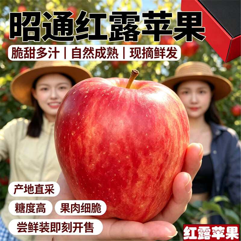 中秋送礼红露苹果礼盒新鲜红露云南昭通丑苹果新鲜采摘冰糖心水果 红露苹果4.5斤（箱未满量已足 论斤不论个） 80g+（1斤小果 不推荐）泡沫托+彩箱+网套发货