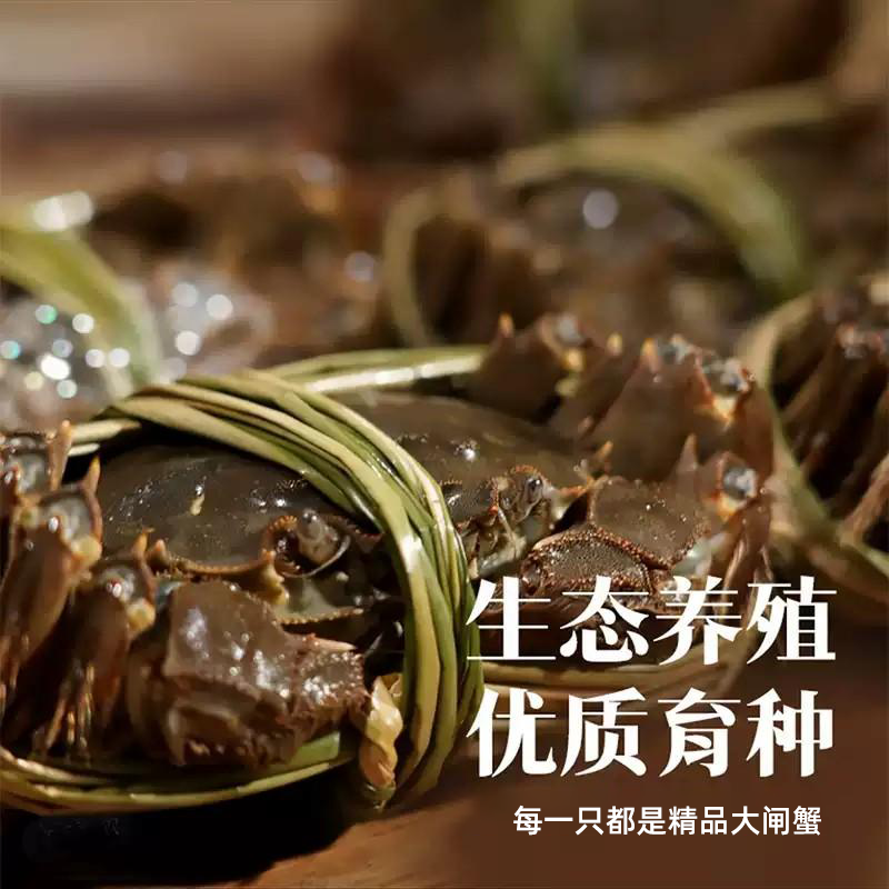 【活蟹】优鲜鸟中秋礼盒全母大闸蟹现货鲜活满黄螃蟹送礼礼盒装 母蟹2-2.3两(6只装)【精品礼盒】