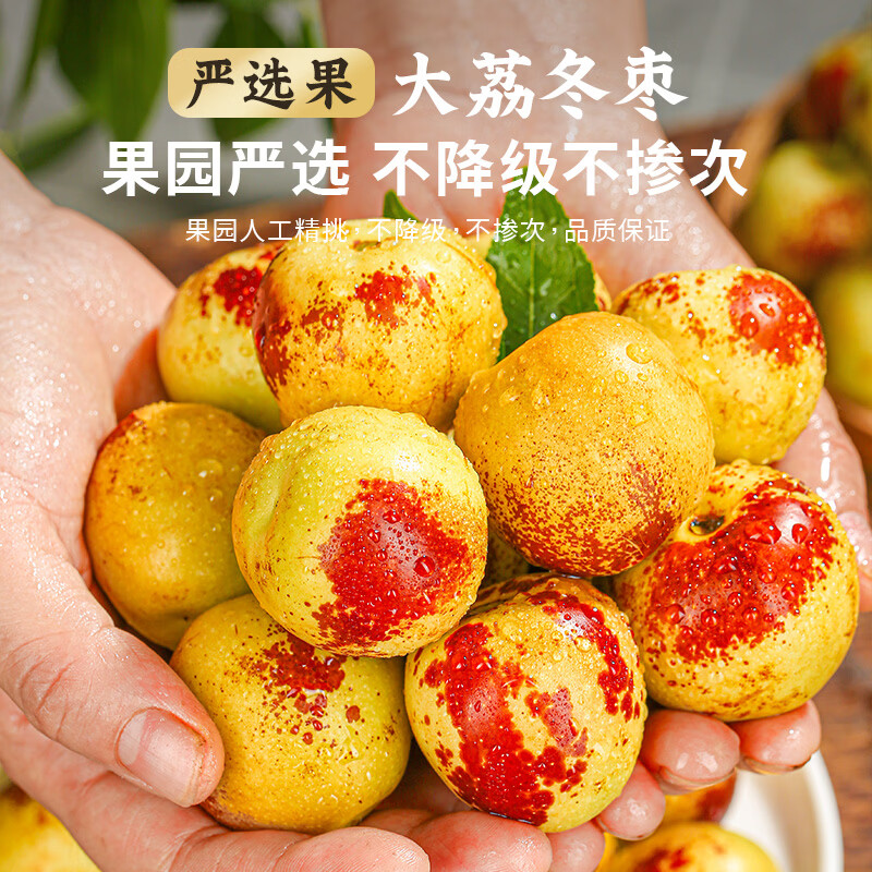 优味集正宗陕西大荔冬枣新鲜枣子应季水果脆甜鲜枣冰糖脆枣蜜枣大枣子 5斤装丨小果8g+丨净4.5-5斤