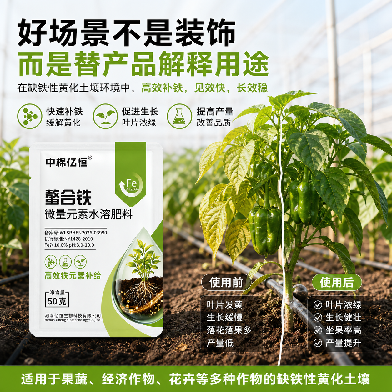 螯合铁铁肥黄叶变绿果树蔬菜花卉缺铁叶面水溶肥 容量 螯合铁 50克*3袋