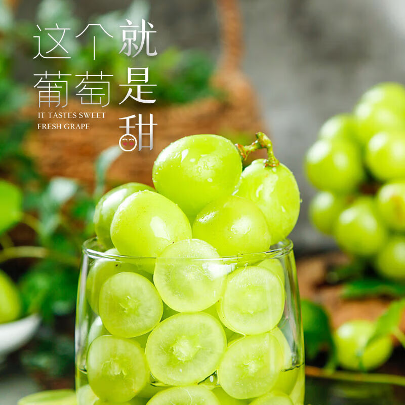 澧县出口特供阳光玫瑰葡萄新鲜香印提子有机水果孕妇当季生鲜礼盒 5斤冷链箱【精品串装】单果15g以上