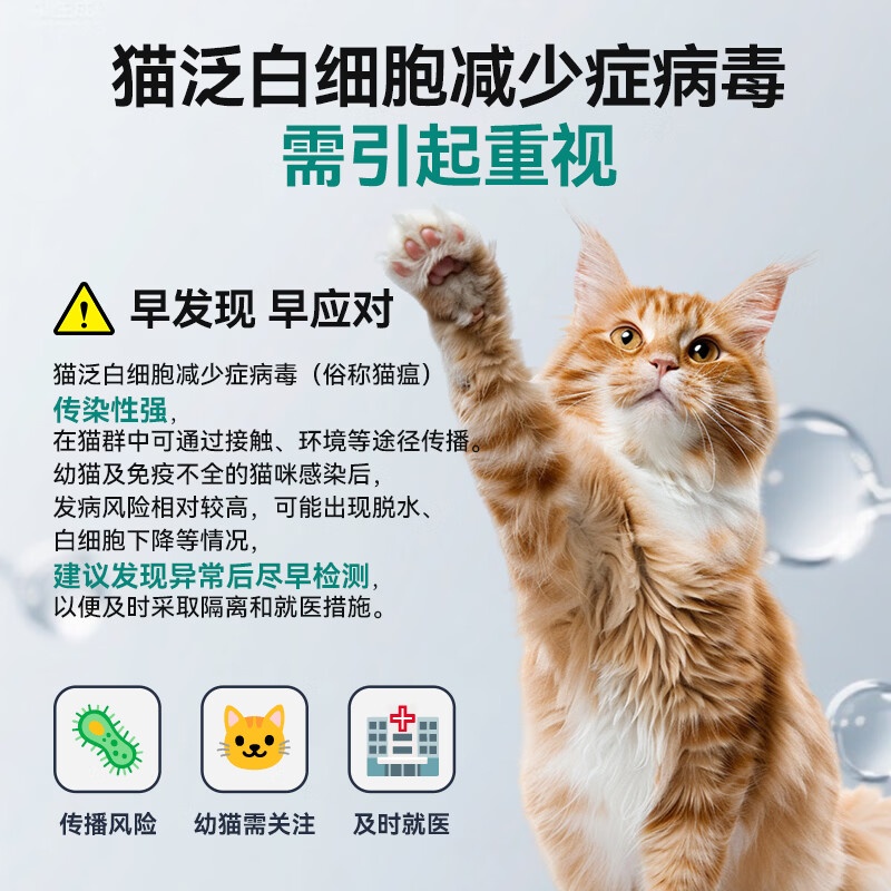 中科瑞鹏犬瘟犬细小猫瘟猫泛白猫犬三大病毒快速自测检查试纸检测卡 猫瘟(FPV)病毒试纸 1条*1盒