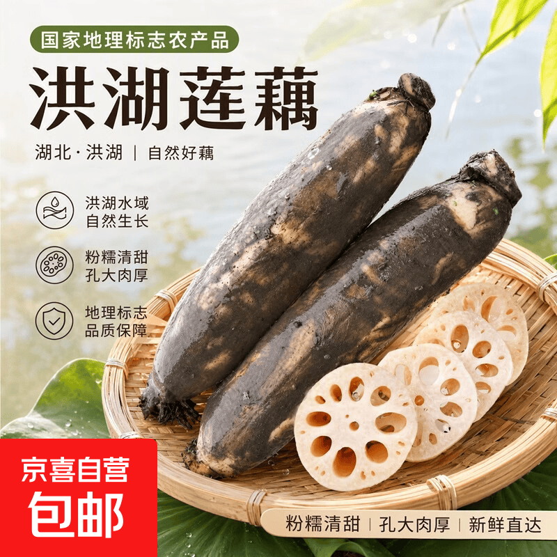 2026洪湖新鲜现挖莲藕带泥保鲜不漂白应季蔬菜火锅凉拌源头直发 新鲜莲藕3斤 净重（带泥保鲜）