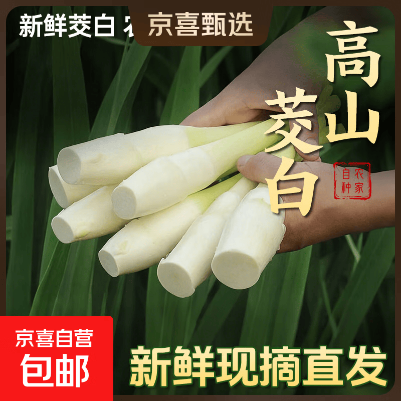 【现采现发】浙江新鲜茭白时令蔬菜带壳茭白高笋应季美食自种包邮 现采带壳茭白2.6-3斤 净重