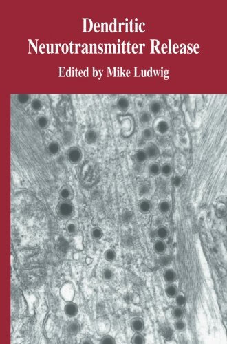 预订 dendritic neurotransmitter release