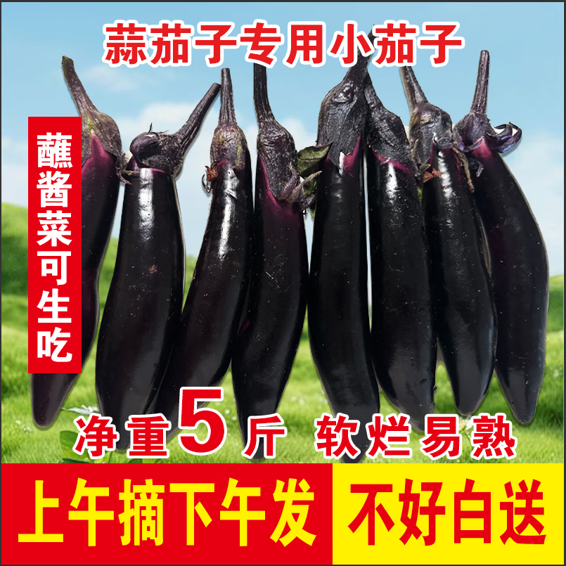 东北水果小紫茄子蒜茄子紫把新鲜蔬菜现摘现发农家自种当季可生吃 蒜茄子专用小茄子 5斤 大约30根左右小